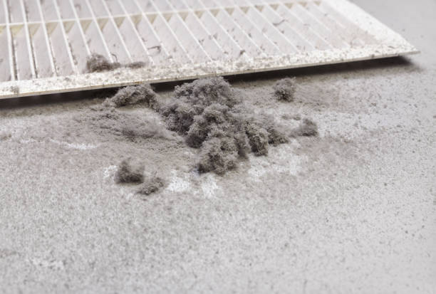 Best HVAC Air Duct Cleaning  in Raceland, KY
