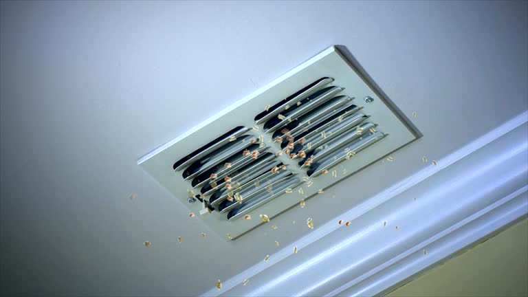 Best Air Duct Cleaning Near Me  in Raceland, KY